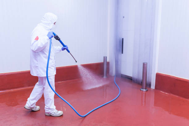Best Boat and Dock Cleaning  in Shougal, WA